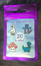 Load image into Gallery viewer, Pocket Buddy Blind Bag