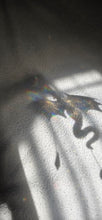 Load image into Gallery viewer, Dragon Suncatcher